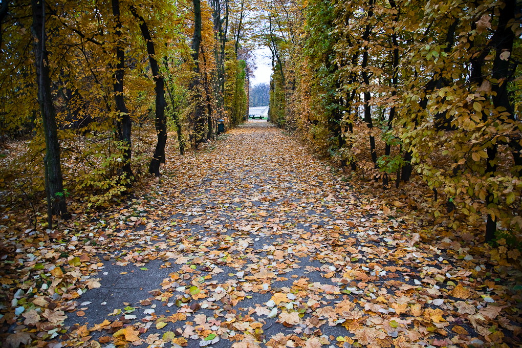 Warsaw